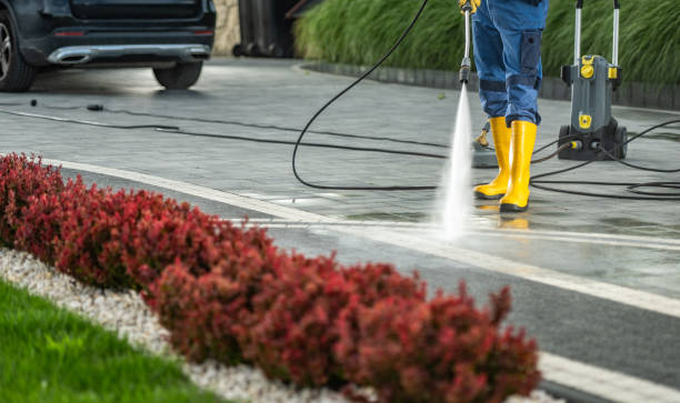 Best Commercial Building Pressure Washing  in Three Points, AZ