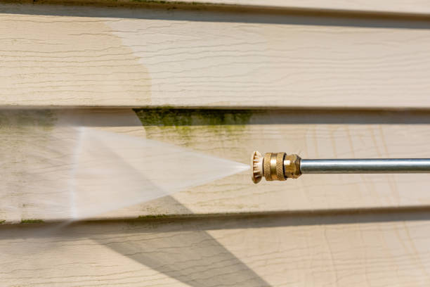 Best Local Pressure Washing Services  in Three Points, AZ